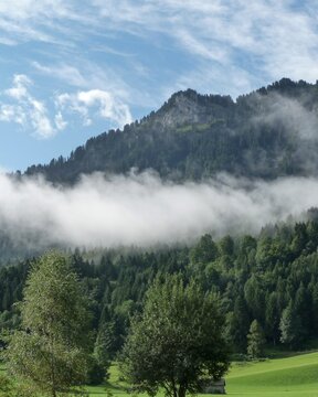 Clouds cover the mountain as sunlight breaks through trees in the green valley during midday in a scenic landscape