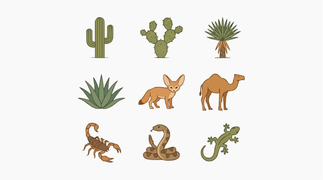 Collection of desert animal and plant illustrations for the concept of arid environments and desert life.