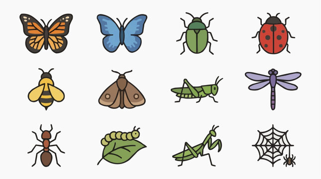 Collection of insect icons, including butterflies, beetles, bees, and spiders, for the concept of nature and insects.