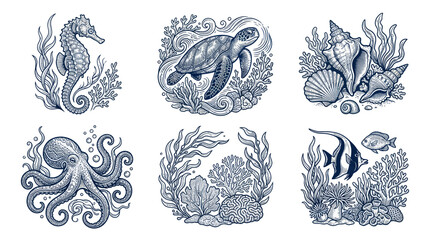 Nautical Marine Life Illustrations: Seahorse, Turtle, Octopus, Shells, Fish © Aziz