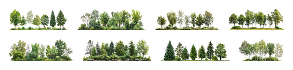 Fototapeta premium PNG Lush diverse tree landscapes element set on transparent background