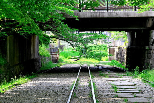Keage incline old railway tracks under concrete bridge