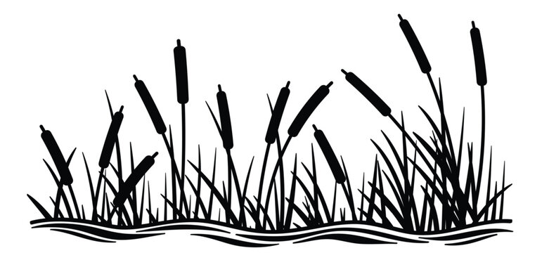 cartoon lisdodde or typha latifolia It is an aquatic plant. They have long, narrow leaves, a straight stem, and a brown, cigar-shaped spadix. They grow mainly in swamps, ditches, and along banks.