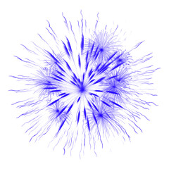Fototapeta premium Blue Firework Explosion Bursting in Dark Night Sky