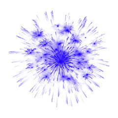 Obraz premium Abstract Blue Bursting Firework Explosion on White Background