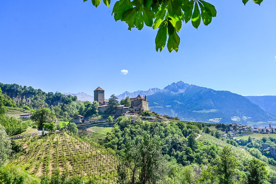 Dorf Tirol, Schloss Tirol, Weinberge, Waalweg, Wanderweg, Vinschgau, Etschtal, S&uuml;dtirol, Fr&uuml;hling, Sommer, Italien