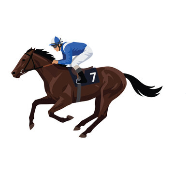 Horse Racing Jockey Riding Bay Thoroughbred Number 7 Full Gallop Flat Vector Illustration Isolated White Background