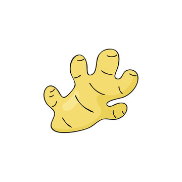 Yellow cartoon ginger root with stubby fingers for healthy food and spice illustration