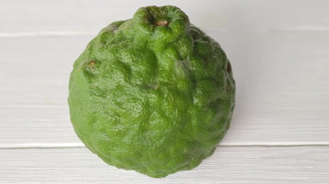Single Fresh Green Kaffir Lime