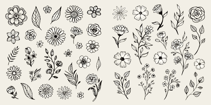 Floral Ornament Collection Hand Drawn Line Art Style