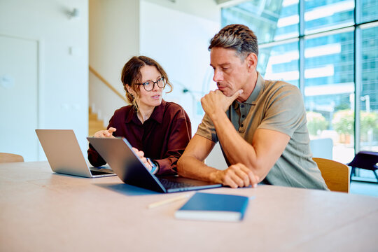 Business coworkers collaborating on a project, discussing ideas and tasks using a laptop in a bright, contemporary office space