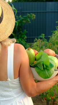 Vegetable harvest with a woman in a garden. Selective focus.