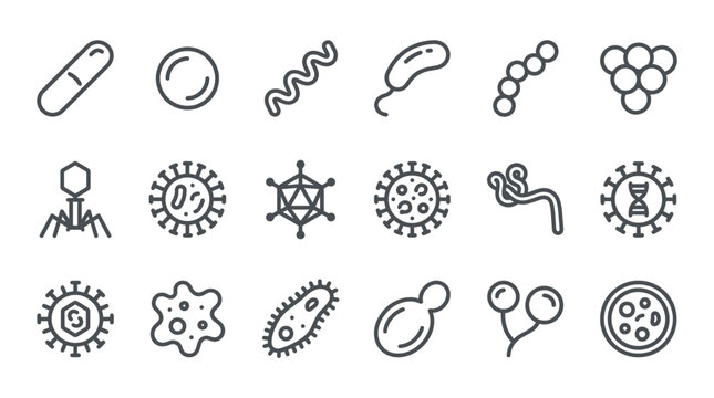 Collection of linear vector icons featuring various bacteria types, viruses and microorganisms on a white background, illustrating scientific research and representing healthcare education
