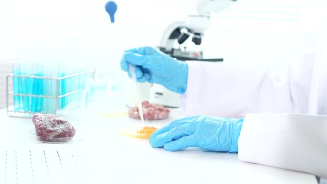 Food safety scientist testing meat, eggs, and biological samples in a laboratory, conducting contamination screening, microbiological analysis, and quality control procedures.