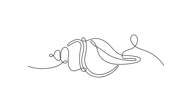 Spiral sea shell outline in simple minimalist linear drawing style