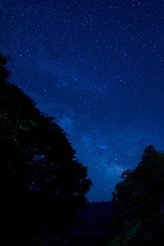 星降る夜