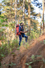 Fototapeta premium male backpacker traveling alone in forest wild. Attractive man traveler look around and explore world while walk in nature wood with happiness on outdoor holiday vacation trip.