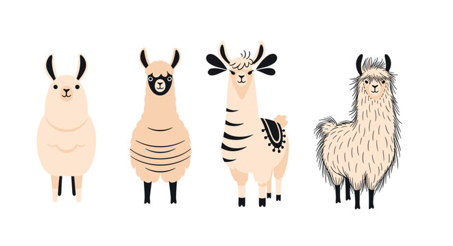 Row of four cute cartoon llamas and alpacas with different fur styles and patterns, isolated on a white background.