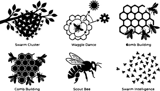 Honeybee Waggle Dance Silhouette &ndash; Insect Behavior Diagram, Bee Communication, Science Education Icon
