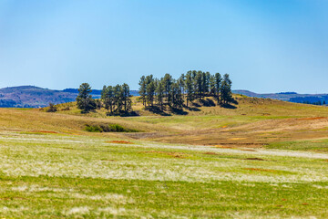 Wind Cave National Park Centennial Trail Landscape © PhotoSpirit