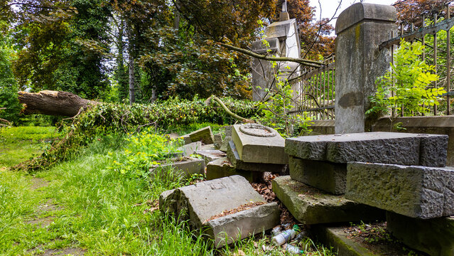 Old stone blocks and fragments of tombstones scattered on green grass next to a historic concrete fence with metal bars, with a large fallen tree trunk visible in the background in an overgrown park.