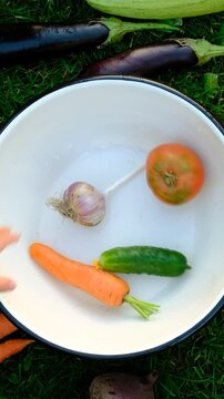 A harvest of vegetables in the hands of children. Selective focus.