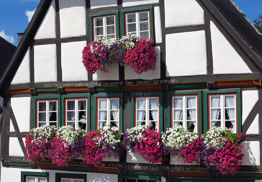 Dieses malerische Fachwerkhaus in der historischen Altstadt von Arnsberg  an der Ruhr ist mit seinen leuchtend gr&uuml;nen Fensterl&auml;den und den &uuml;ppigen Petunienk&auml;sten ein echtes Schmuckst&uuml;ck.