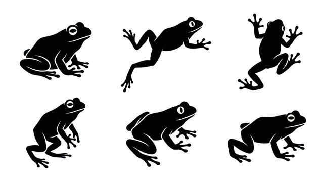 Set of Black Frog Silhouettes on White Background, Vector Illustration
