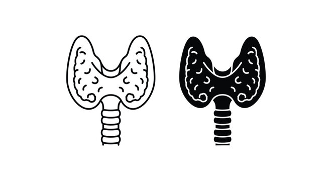 Simple line drawing of thyroid gland with detailed structure