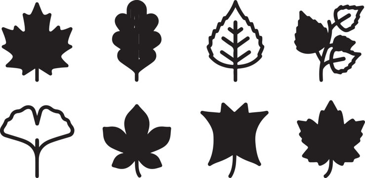Colorful autumn leaves illustration set