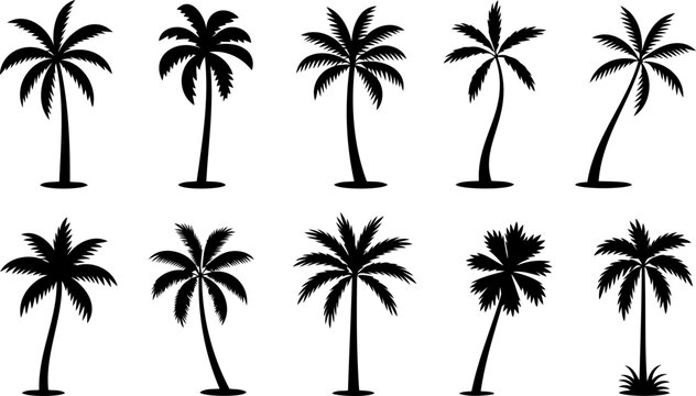 Tropical palm tree silhouette vector illustration set with exotic coco plants isolated on white background for summer beach poster