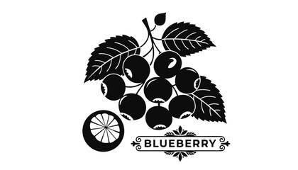 Very beautiful black-and-white engraved vector illustration featuring a cluster of BLUEBERRIES, a sliced berry section, leaves, and a decorative botanical label reading "BLUEBERRY", isolated on white  © ehsanollah