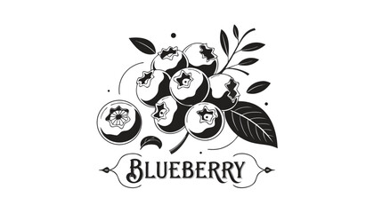 Very beautiful black-and-white engraved vector illustration featuring a cluster of BLUEBERRIES, a sliced berry section, leaves, and a decorative botanical label reading "BLUEBERRY", isolated on white  © ehsanollah