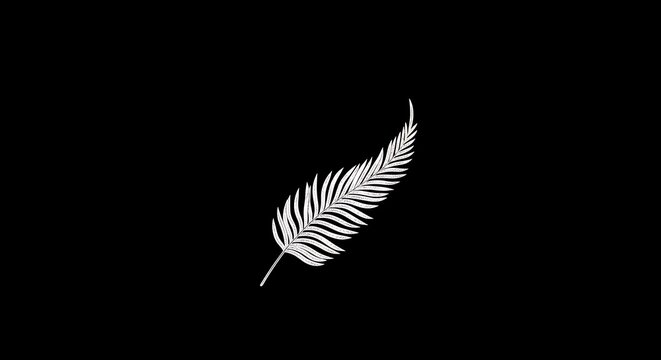Minimalist white silver fern leaf illustration on a black background