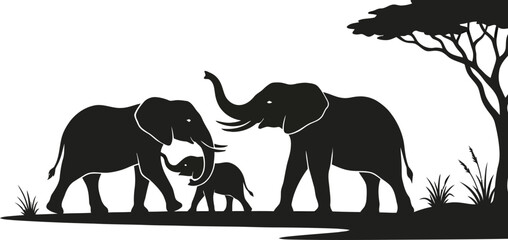 Elephant Family Silhouette Against A White Background African Wildlife Scene © Puja