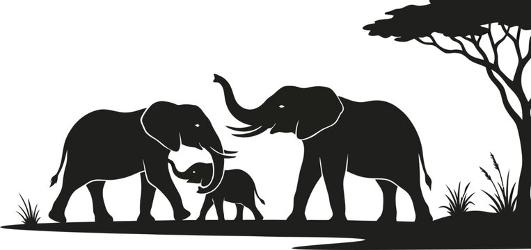 Elephant Family Silhouette Against A White Background African Wildlife Scene