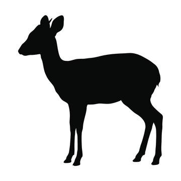 Black silhouette profile of a standing deer or antelope with antelope, wildlife