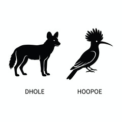 Dhole and hoopoe animal silhouette icons with labels silhouette wildlife © mia