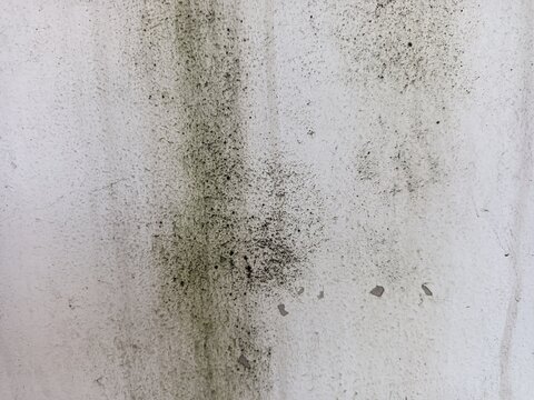 An old weathered concrete wall with a rough and porous texture. A large portion of the surface is covered in dark mold stains and patches of moss.