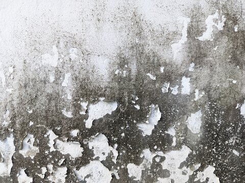 An old weathered concrete wall with a rough and porous texture. A large portion of the surface is covered in dark mold stains and patches of moss.