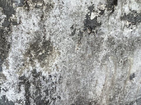 An old weathered concrete wall with a rough and porous texture. A large portion of the surface is covered in dark mold stains and patches of moss.