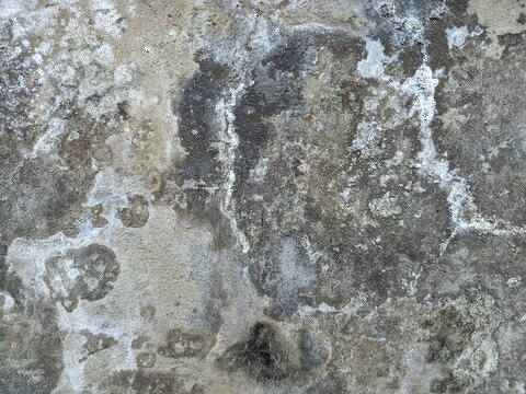 An old weathered concrete wall with a rough and porous texture. A large portion of the surface is covered in dark mold stains and patches of moss.