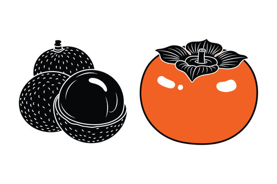Longan and persimmon fruit vector illustration set with persimmon, silhouette