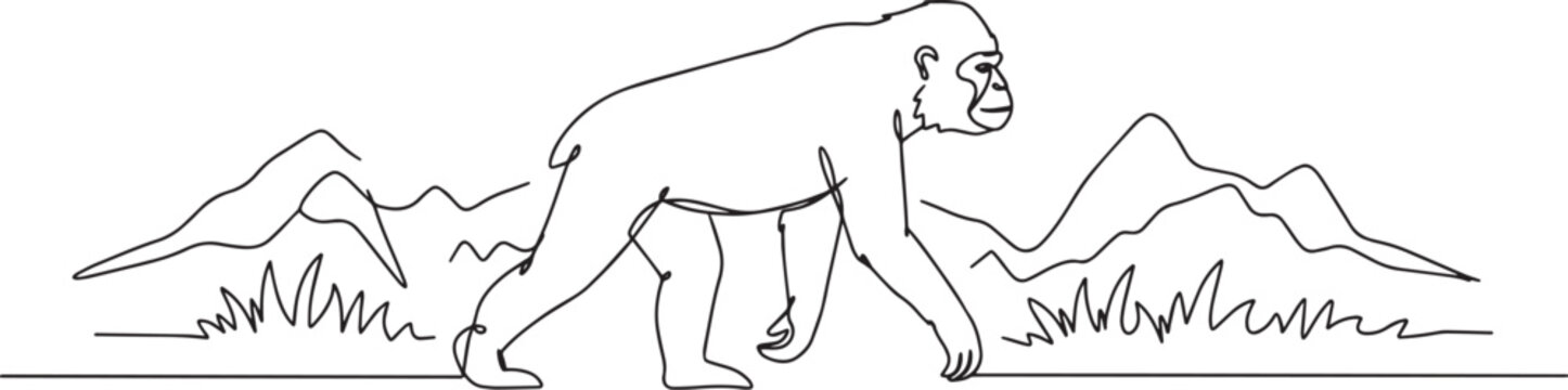 A detailed illustration of a primate walking across a grassy plain.