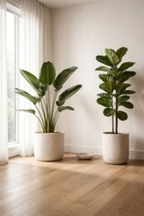Fototapeta premium Elegant indoor potted plants display.
