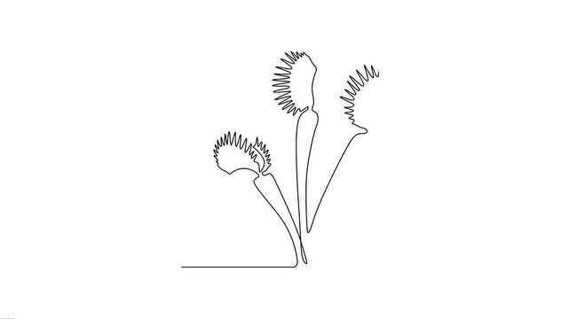 Venus Flytrap Plant One Line Art Animation of Carnivorous Plant.