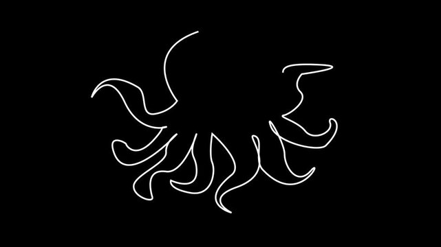 Octopus outline animation as a logo