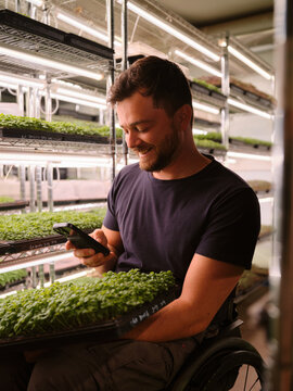 Person checking phone while handling microgreens indoors
