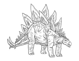 Stegosaurus dinosaur realistic detailed engraving illustration  © Nadiia