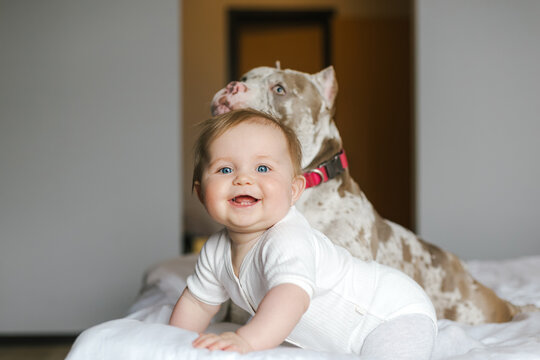 Family moments shared by mother, baby and dog at home